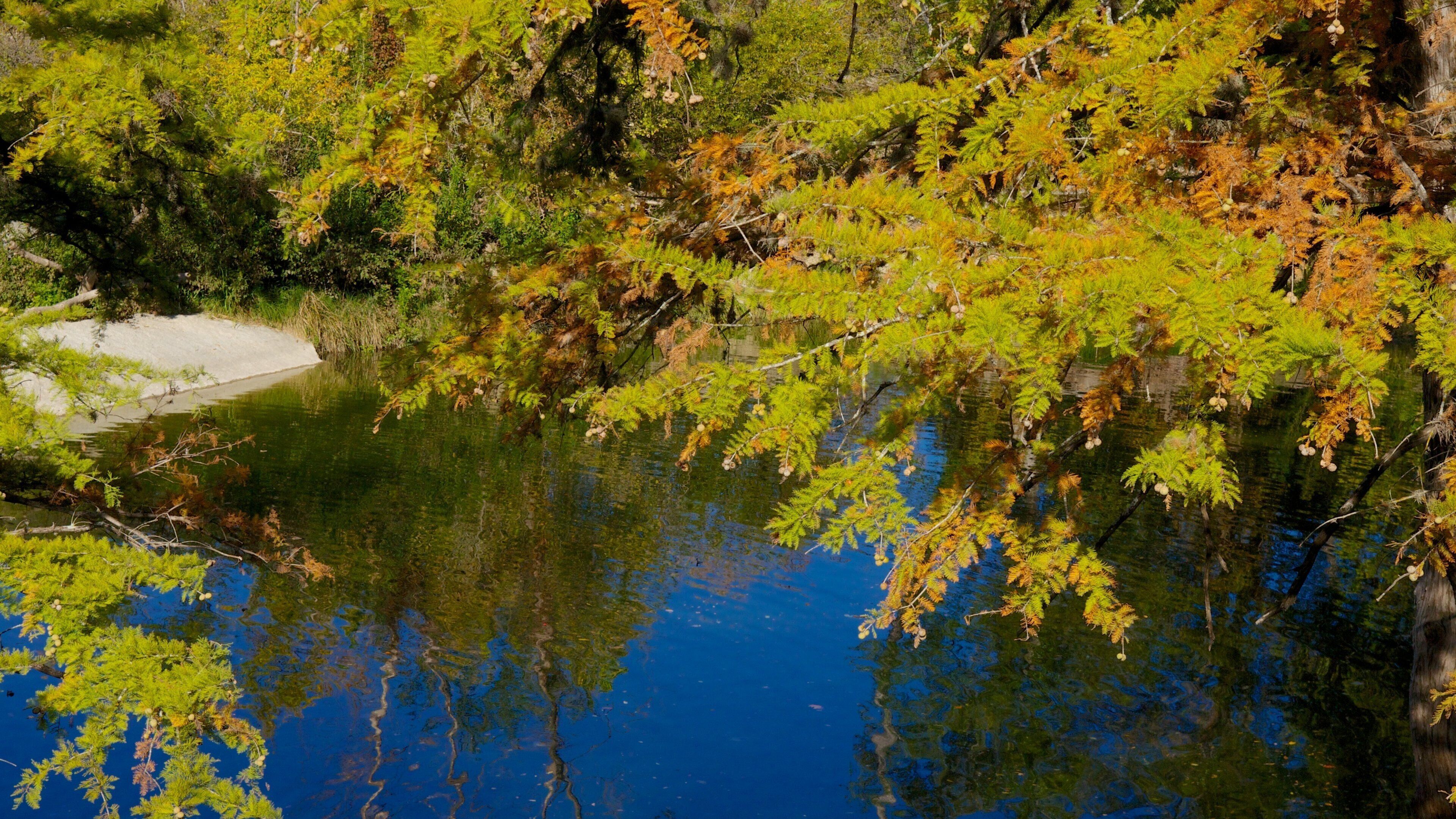 麥金萊瀑布州立公園 呈现出 池塘, 公園 和 湖泊或水坑