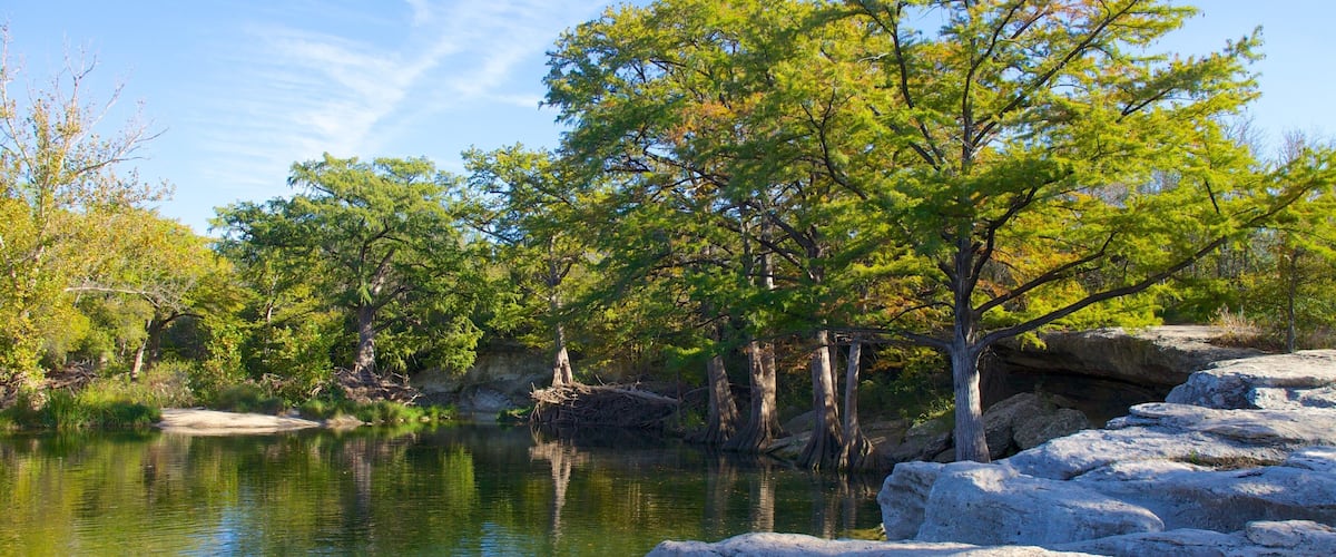 Parque estatal McKinney Falls ofreciendo bosques, vistas de paisajes y un parque
