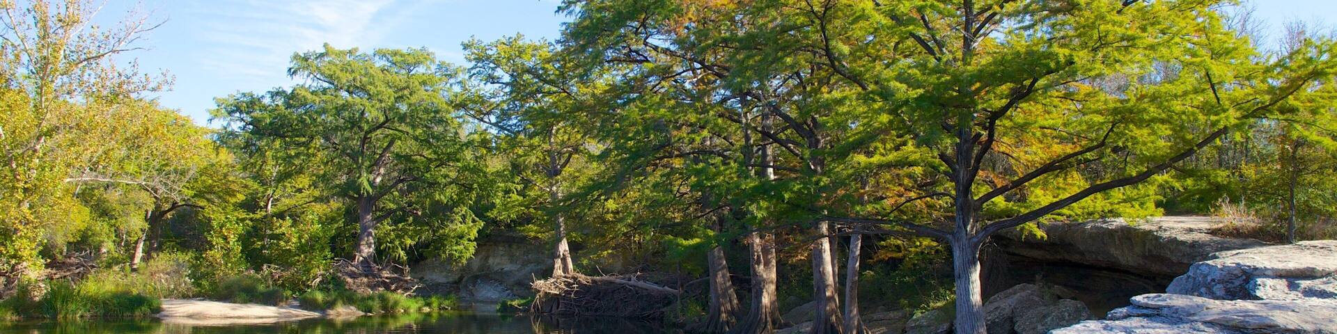 McKinney Falls State Park das einen Garten, Wälder und Landschaften