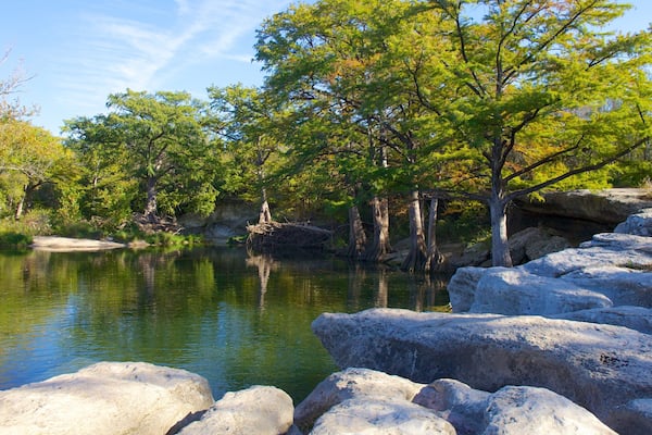 McKinney Falls State Park qui includes forêts, panoramas et jardin