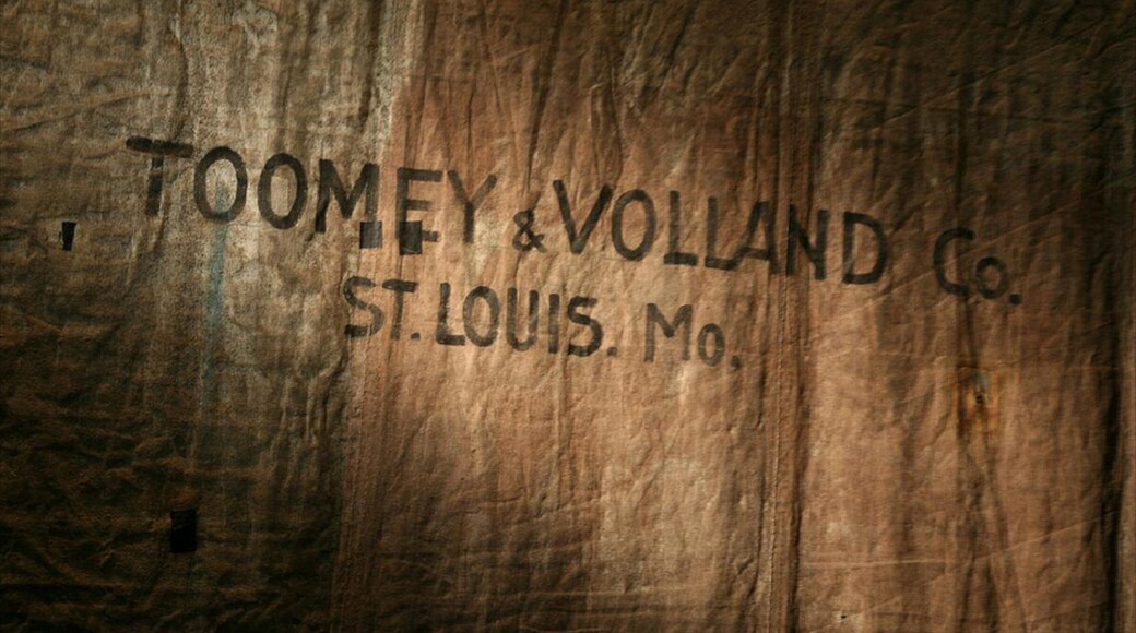 Paramount Theater che include vista interna e segnaletica