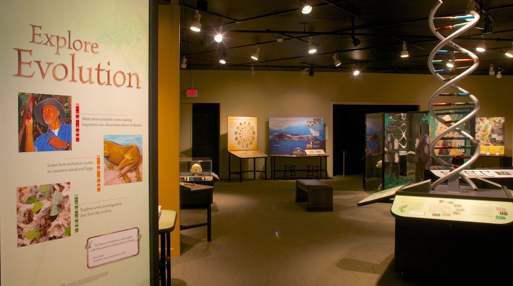 Texas Memorial Museum