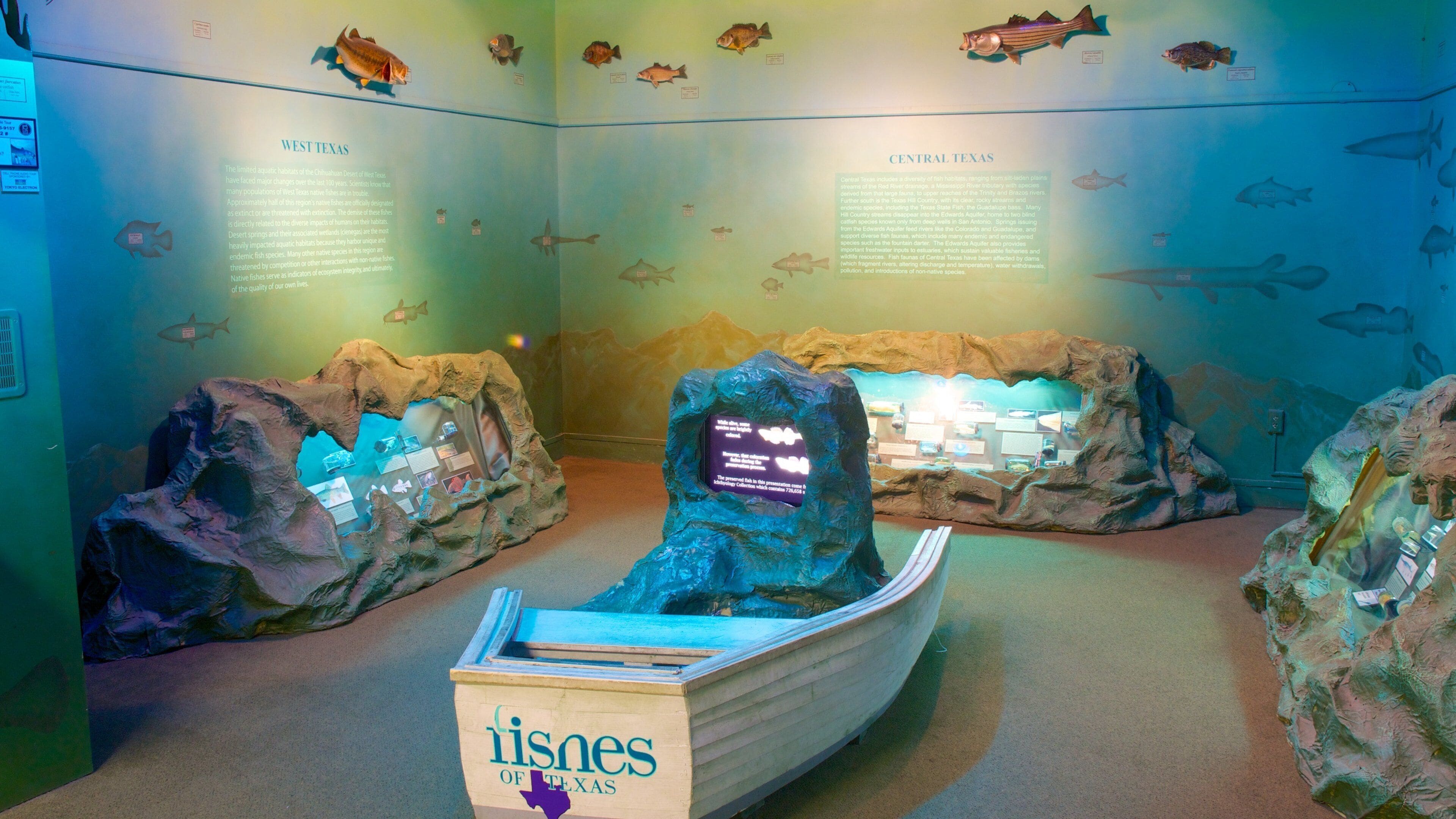 德克萨斯纪念博物馆