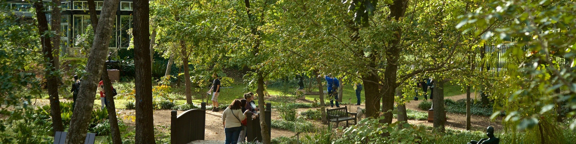 Museo y jardín de esculturas Umlauf mostrando un parque