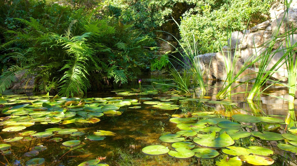 Zilker Botanical Garden featuring landscape views, a garden and a lake or waterhole