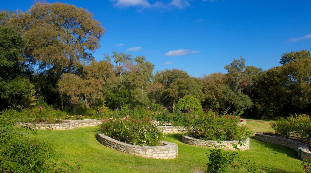 Discover the beauty of Zilker Botanical Garden in Austin Texas with winding paths and lush greenery in late afternoon light