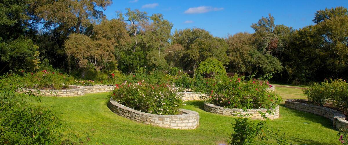 Discover the beauty of Zilker Botanical Garden in Austin Texas with winding paths and lush greenery in late afternoon light