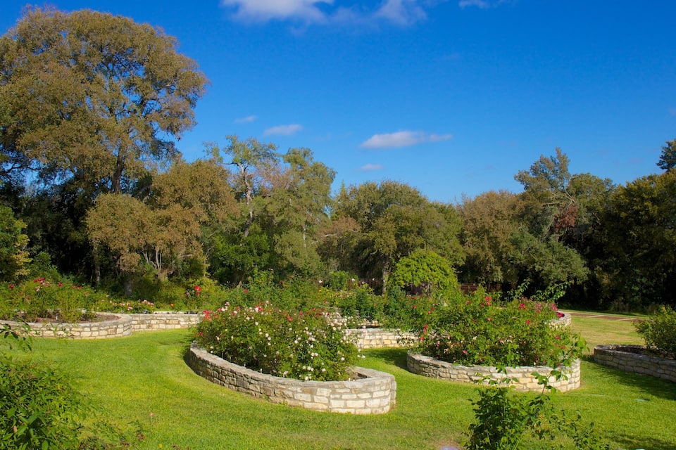 Un jardín ajardinado con macetas de piedra, césped verde exuberante y diversas especies de árboles.
