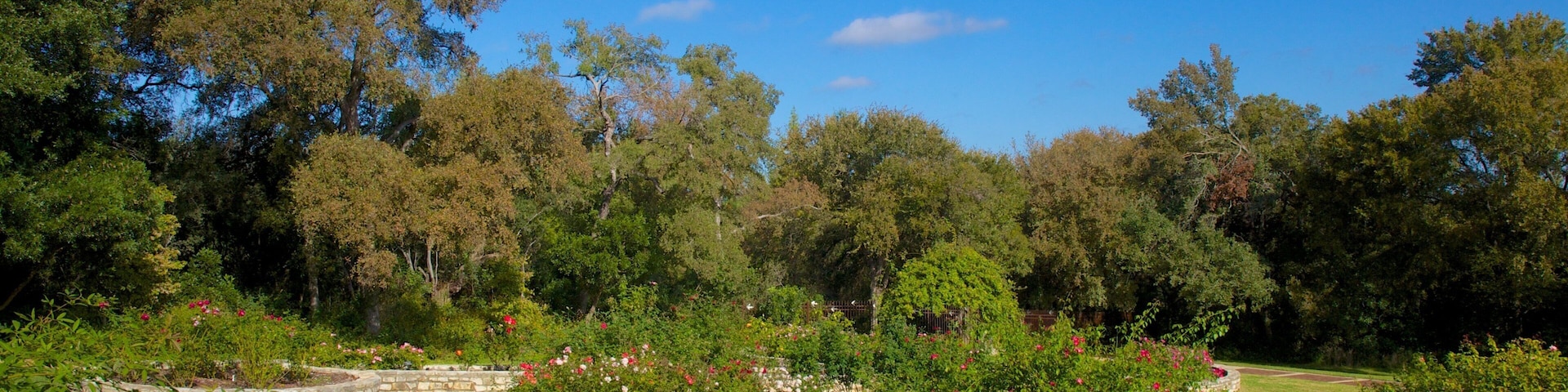 Discover the beauty of Zilker Botanical Garden in Austin Texas with winding paths and lush greenery in late afternoon light