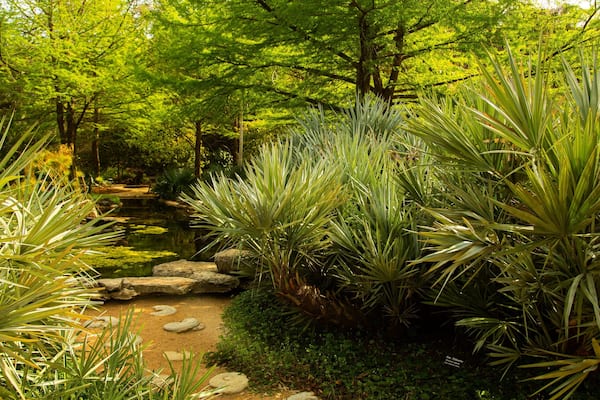 Zilker Botanical Garden which includes a pond and a park