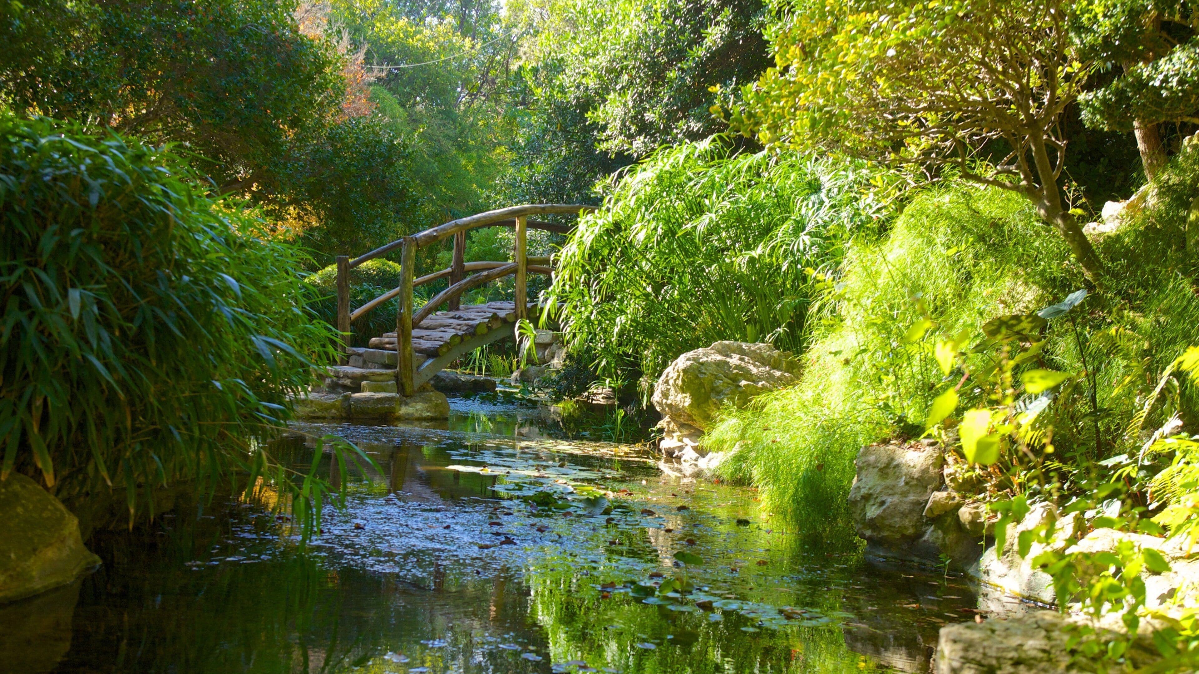 Zilker Botanical Garden Tours - Book Now | Expedia