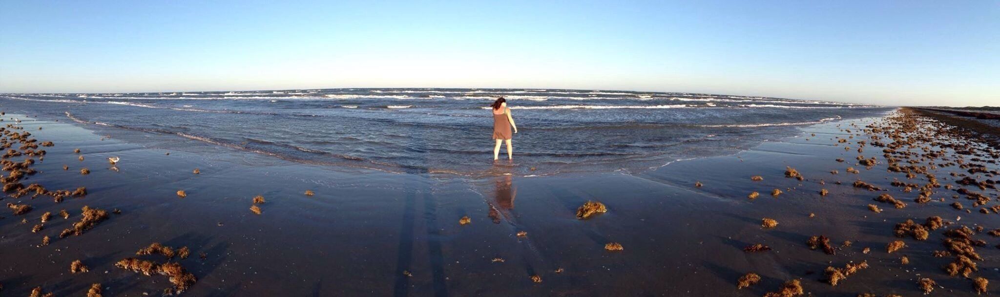 Seaweed beach for miles and miles