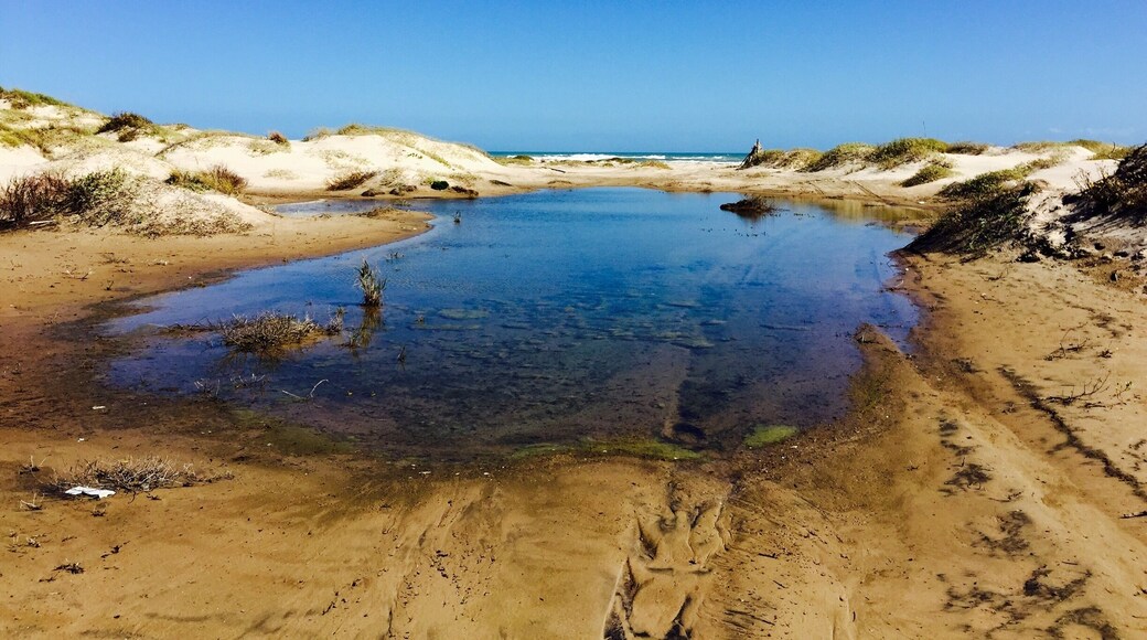 #beach
The Padre Island National Seashore separates the Gulf of Mexico from the Laguna Madre, one of a few hypersaline lagoons in the world. The park protects 70 miles of coastline, dunes, prairies, and wind tidal flats teeming with life. It also has beautiful stretches of road with road access to the beach. Very scenic and very enjoyable!!!