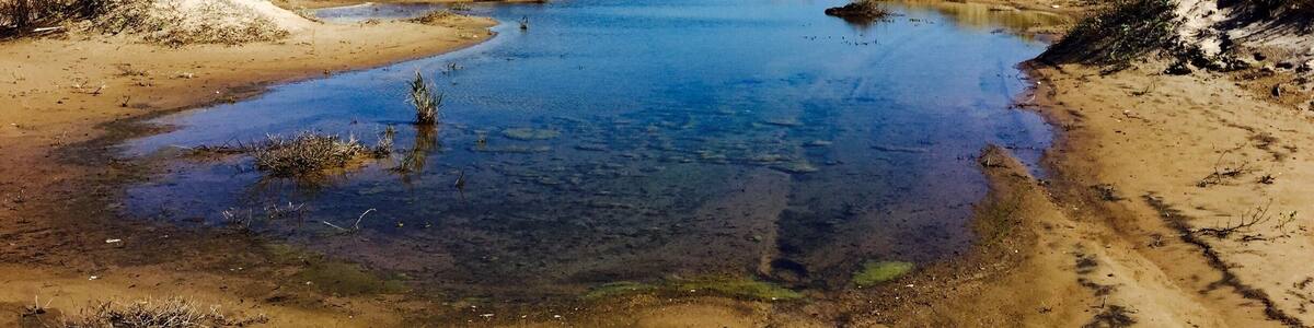 #beach
The Padre Island National Seashore separates the Gulf of Mexico from the Laguna Madre, one of a few hypersaline lagoons in the world. The park protects 70 miles of coastline, dunes, prairies, and wind tidal flats teeming with life. It also has beautiful stretches of road with road access to the beach. Very scenic and very enjoyable!!!