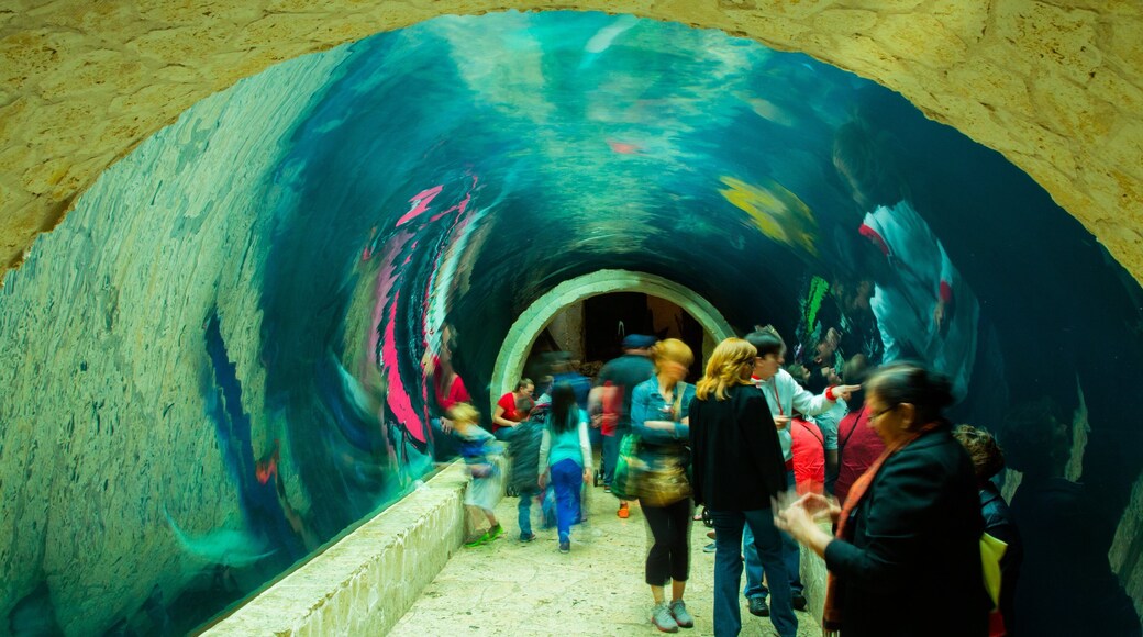 Dallas World Aquarium