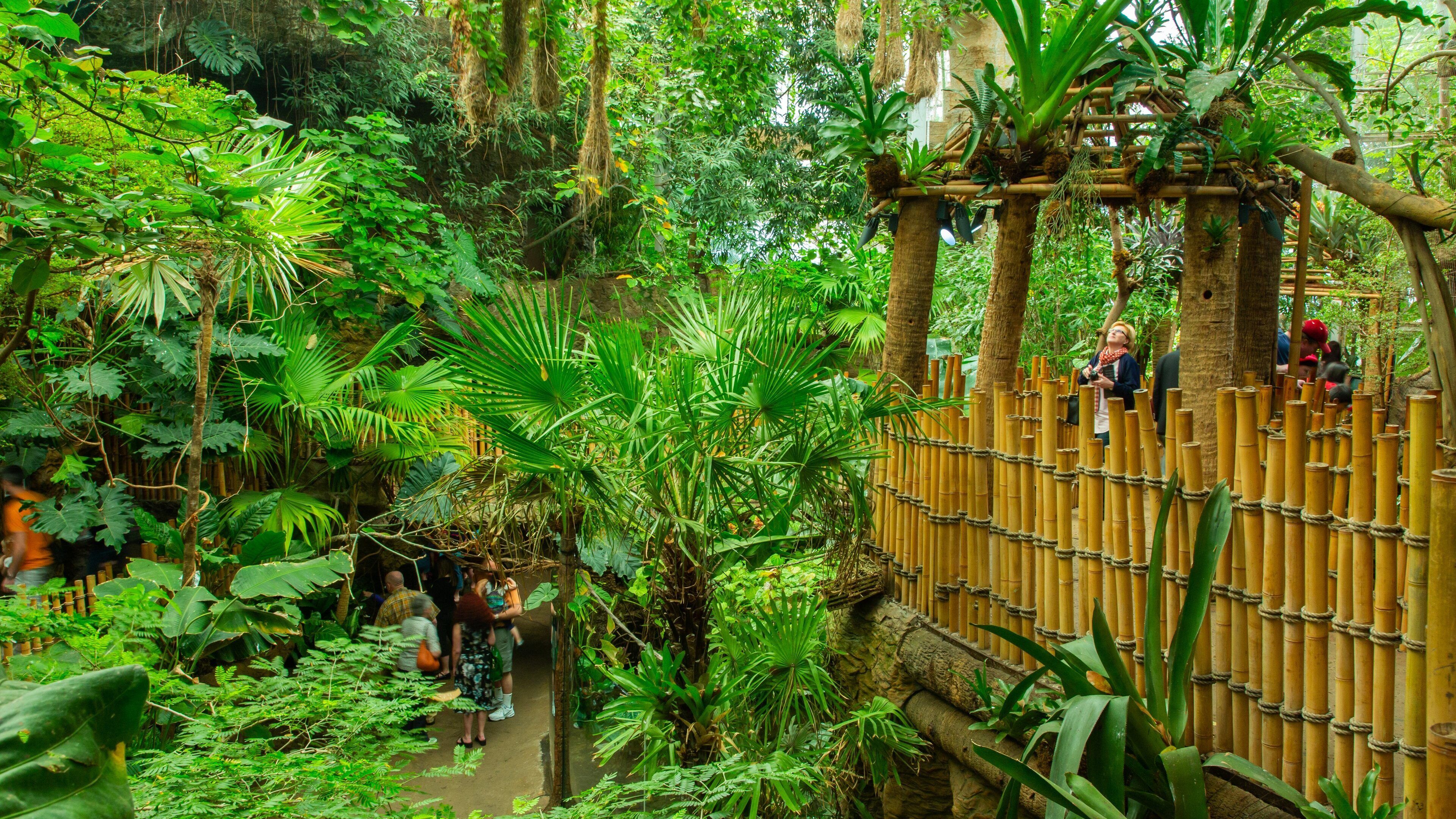 Dallas World Aquarium featuring a garden and forests