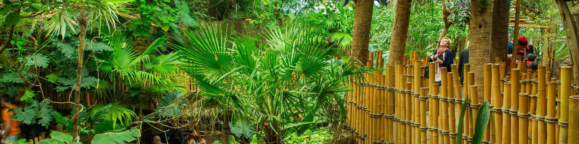 Dallas World Aquarium featuring a garden and forests