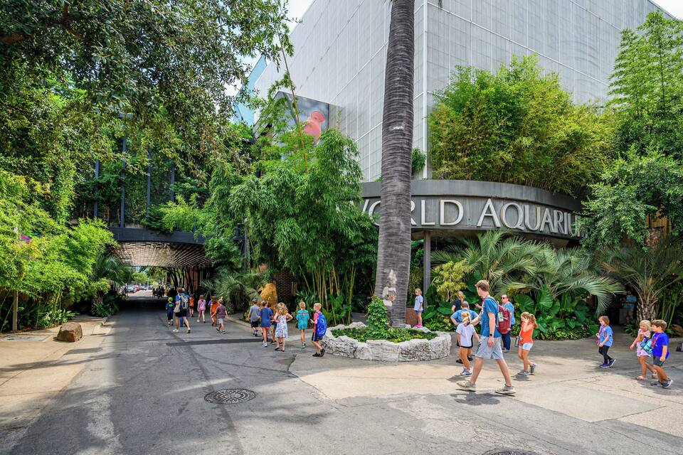 Una entrada espaciosa a un acuario, con abundante vegetación y palmeras.