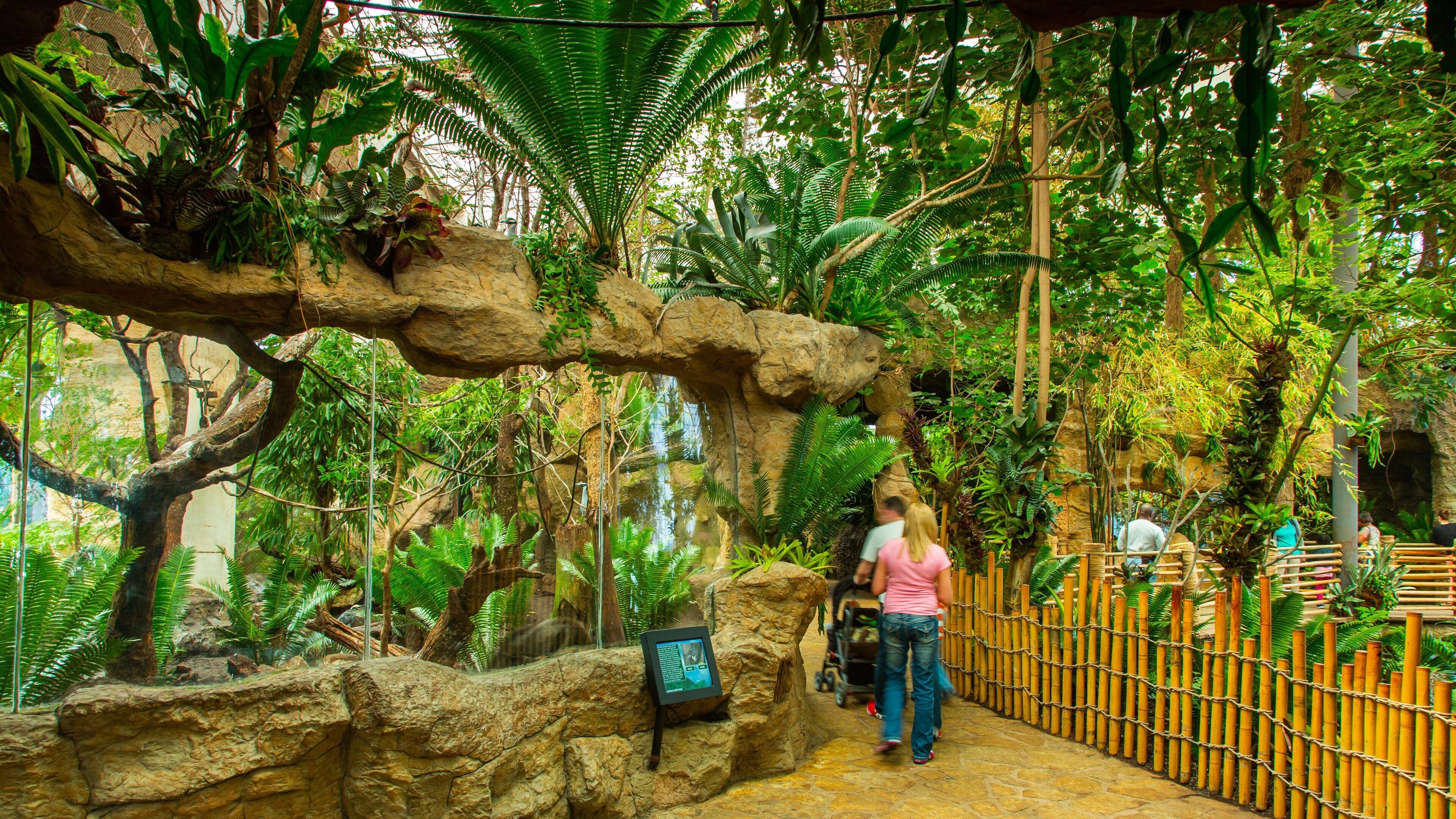 Dallas World Aquarium