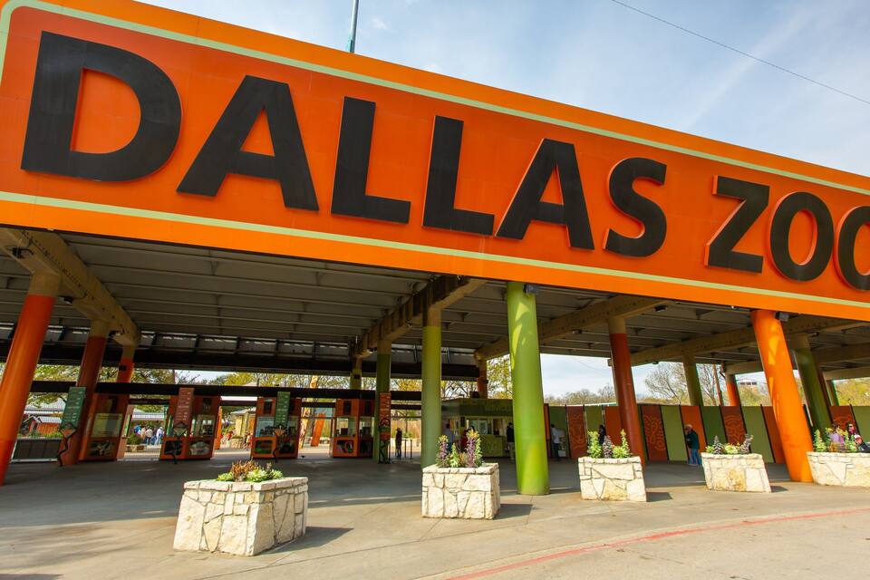 The Dallas Zoo entrance with an orange sign, green pillars, and stone planters.