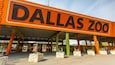 The Dallas Zoo entrance with an orange sign, green pillars, and stone planters.