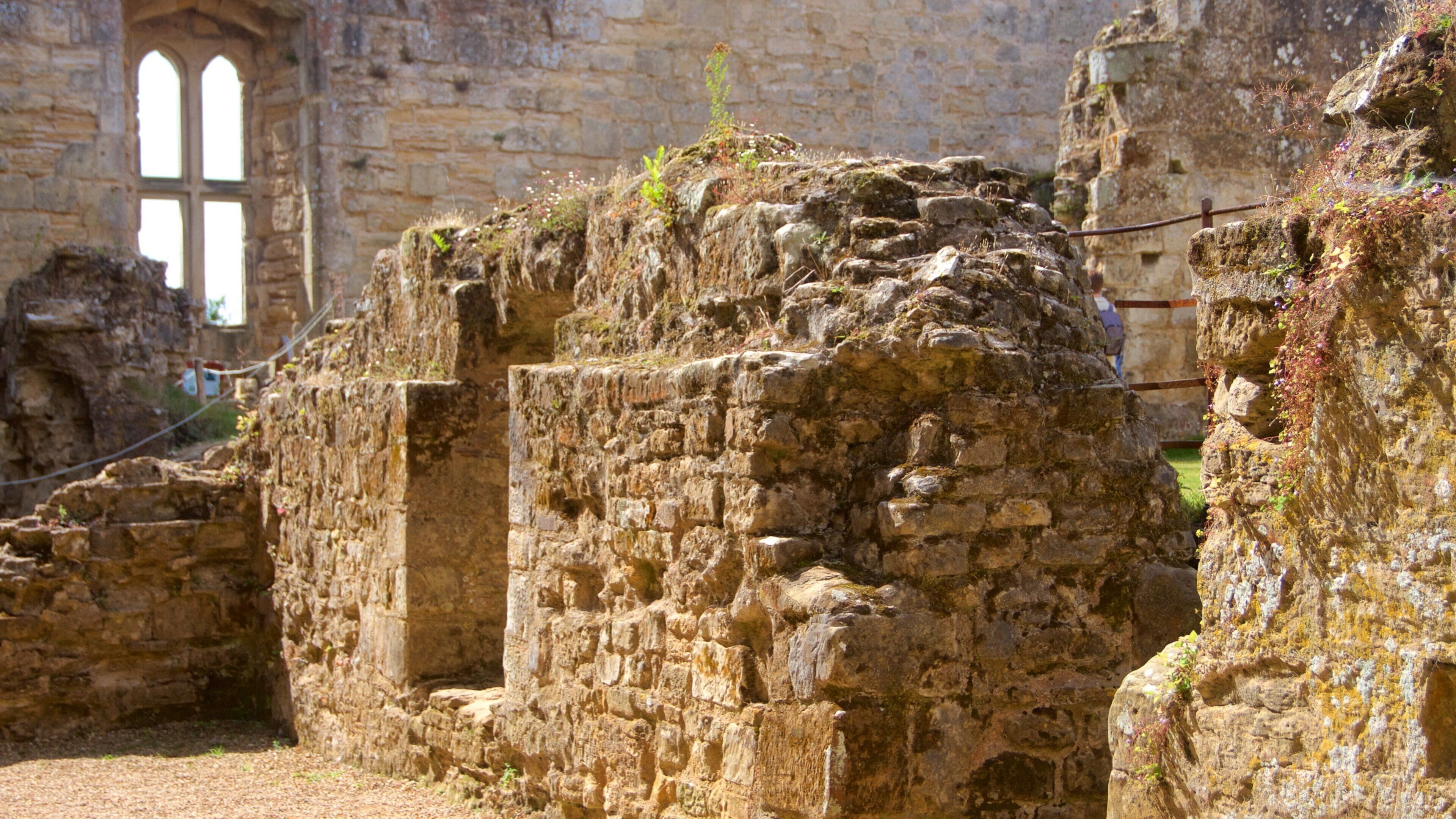 博迪恩城堡 设有 傳統元素 和 遺址