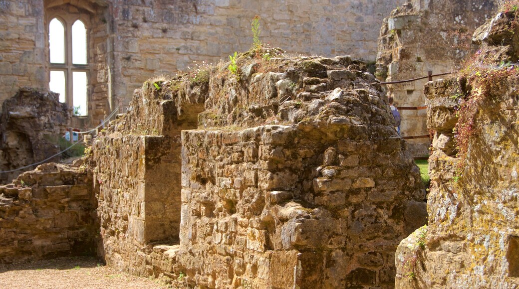 博迪恩城堡 设有 傳統元素 和 遺址