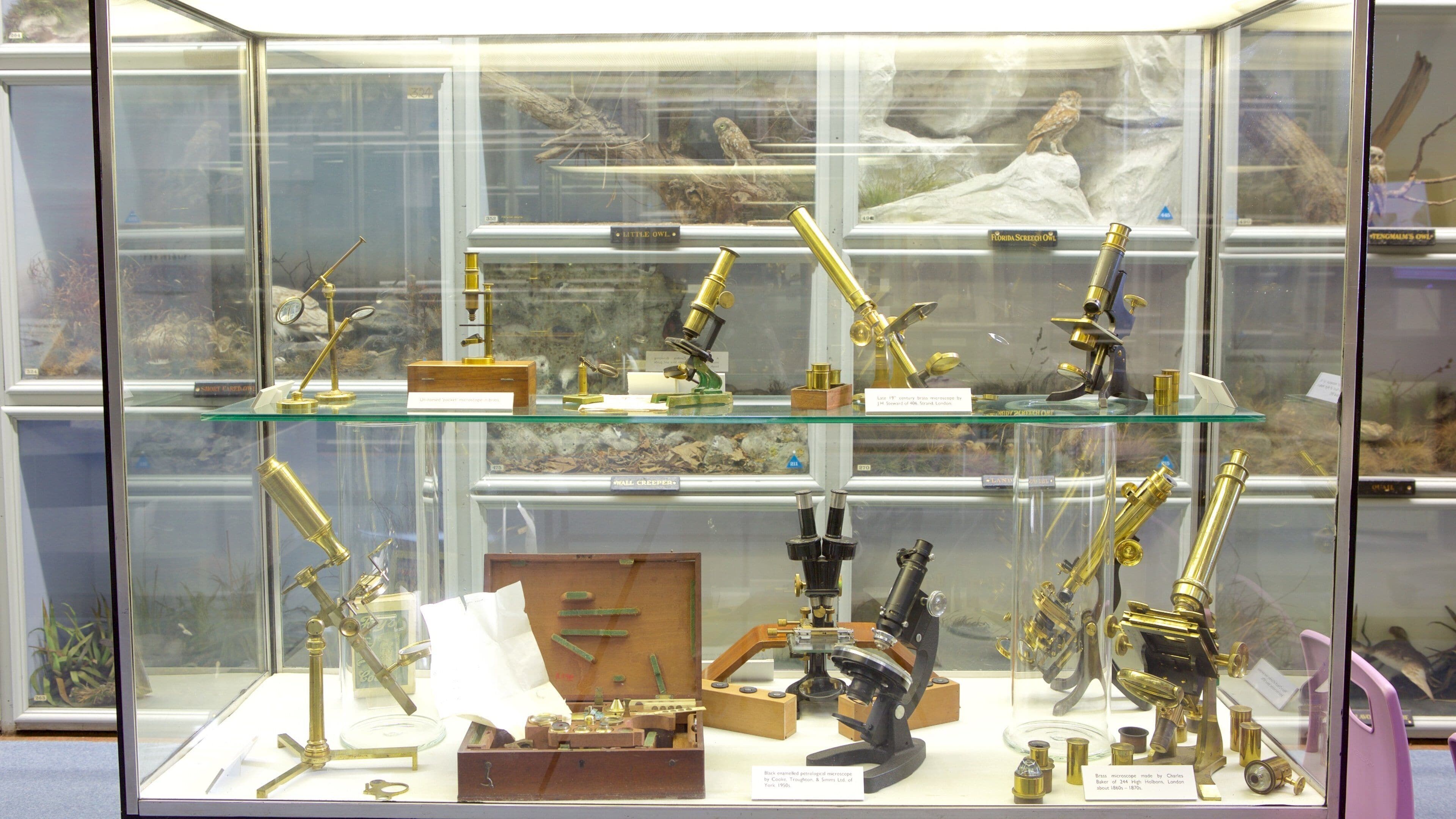 부스 자연사 박물관