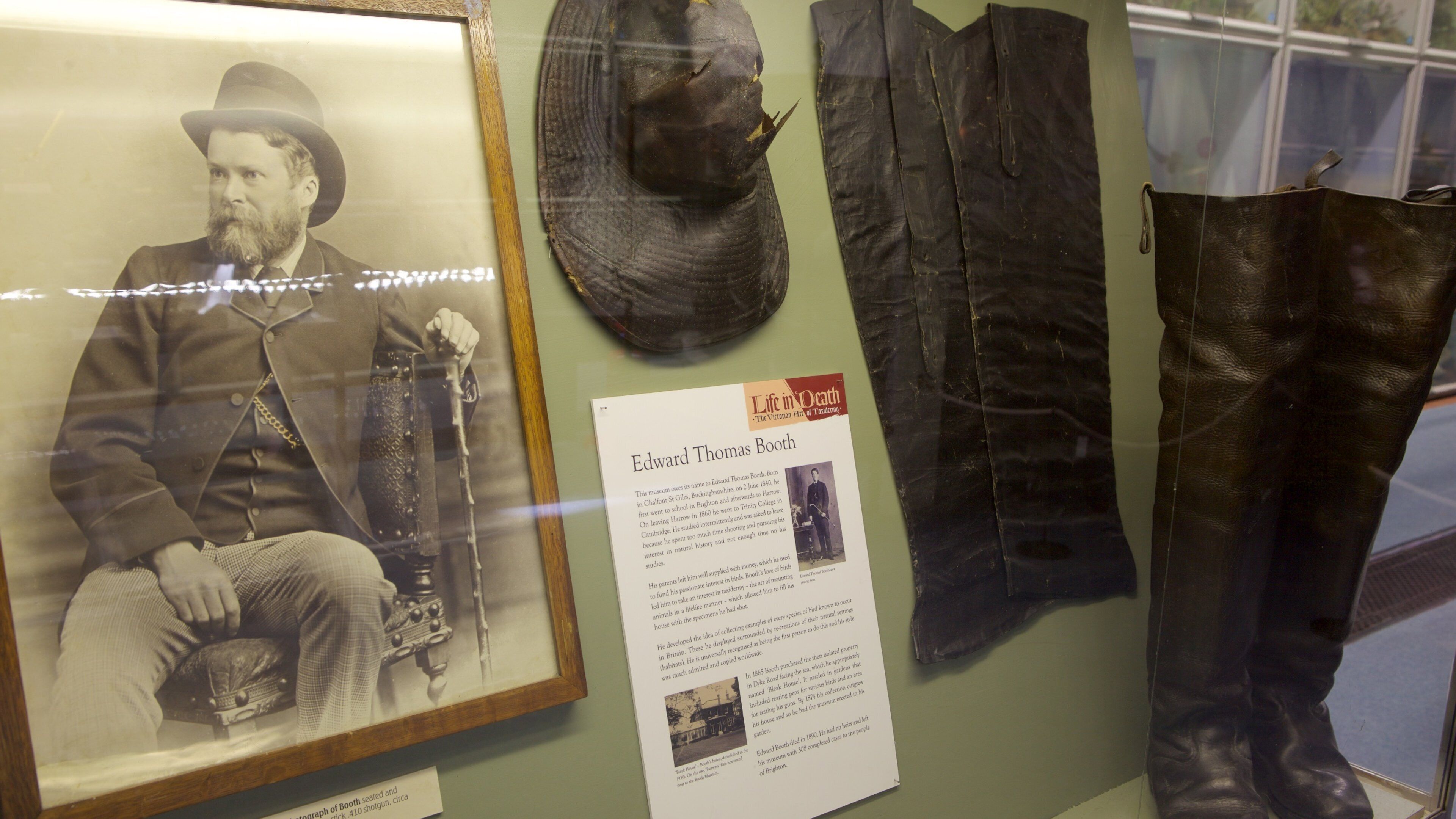 Booth Museum of Natural History