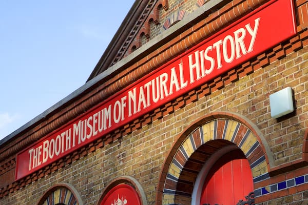 Booth Museum of Natural History qui includes signalisation
