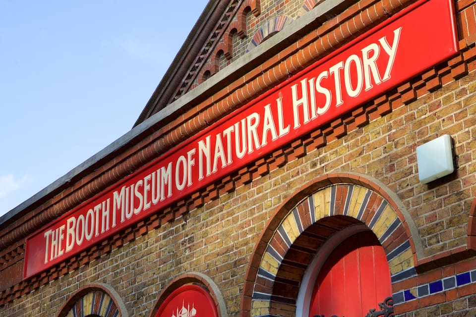 The Booth Museum of Natural History with its distinctive red signage and brick architecture.
