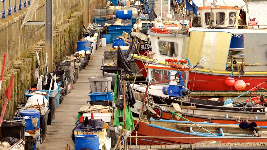 Brighton Marina featuring a marina