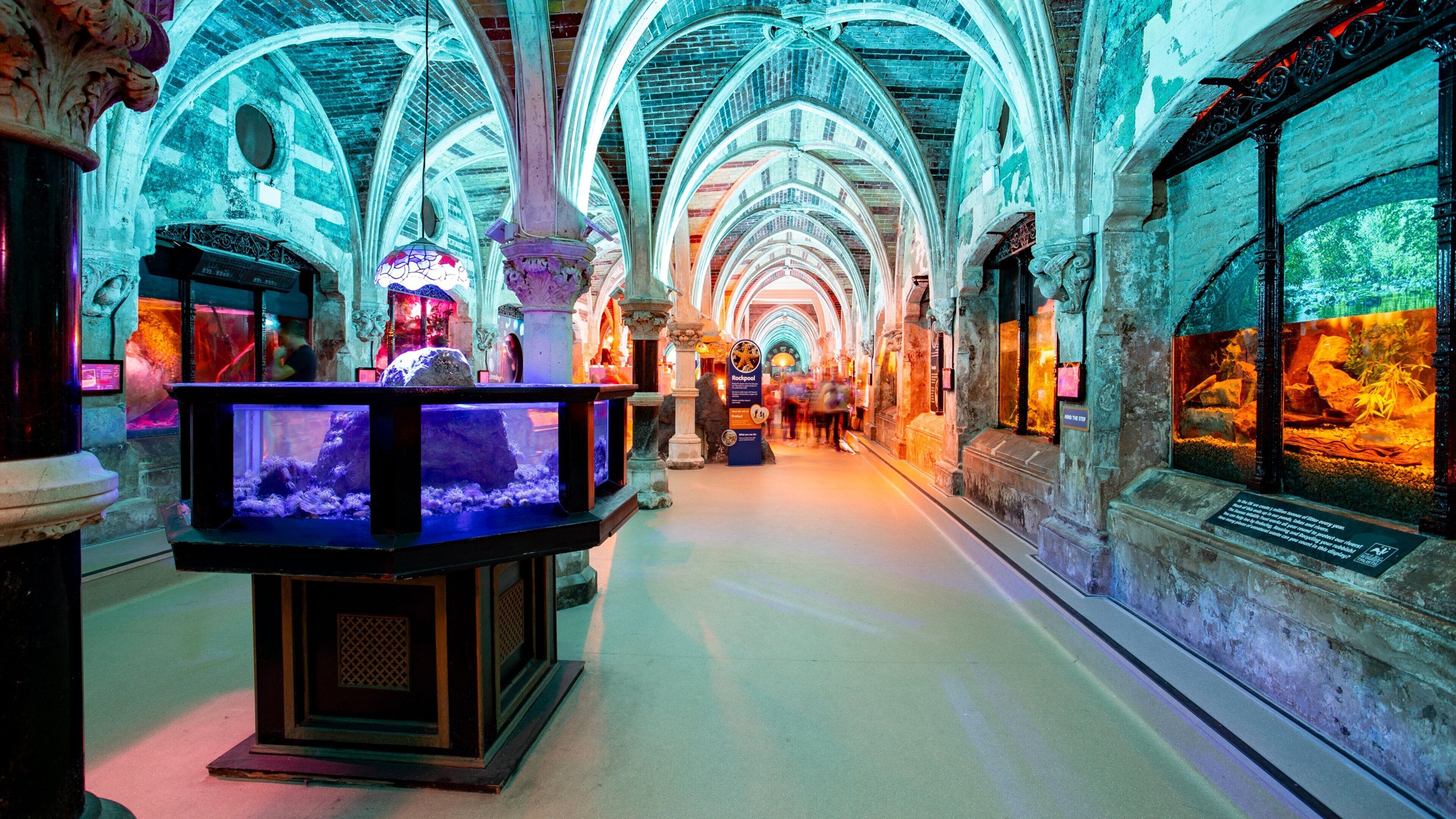 Brighton Sea Life Centre