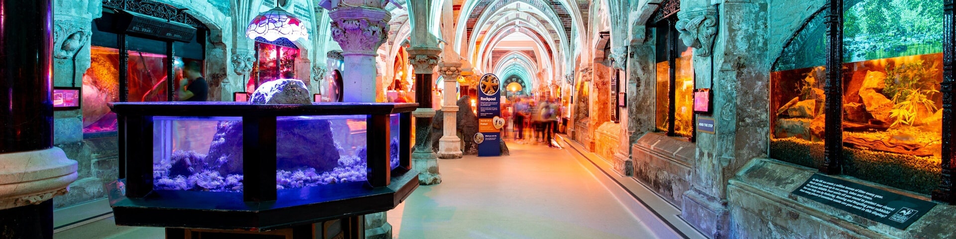 Brighton Sea Life Centre