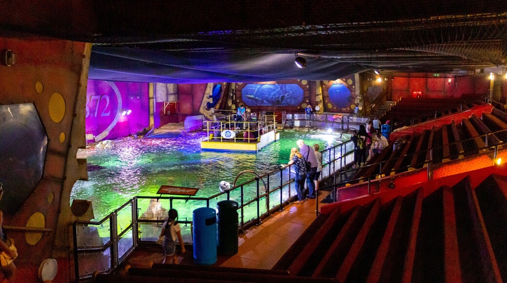 Brighton Sea Life Centre