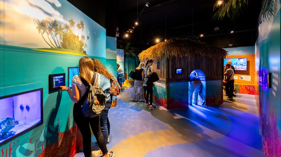 Brighton Sea Life Centre