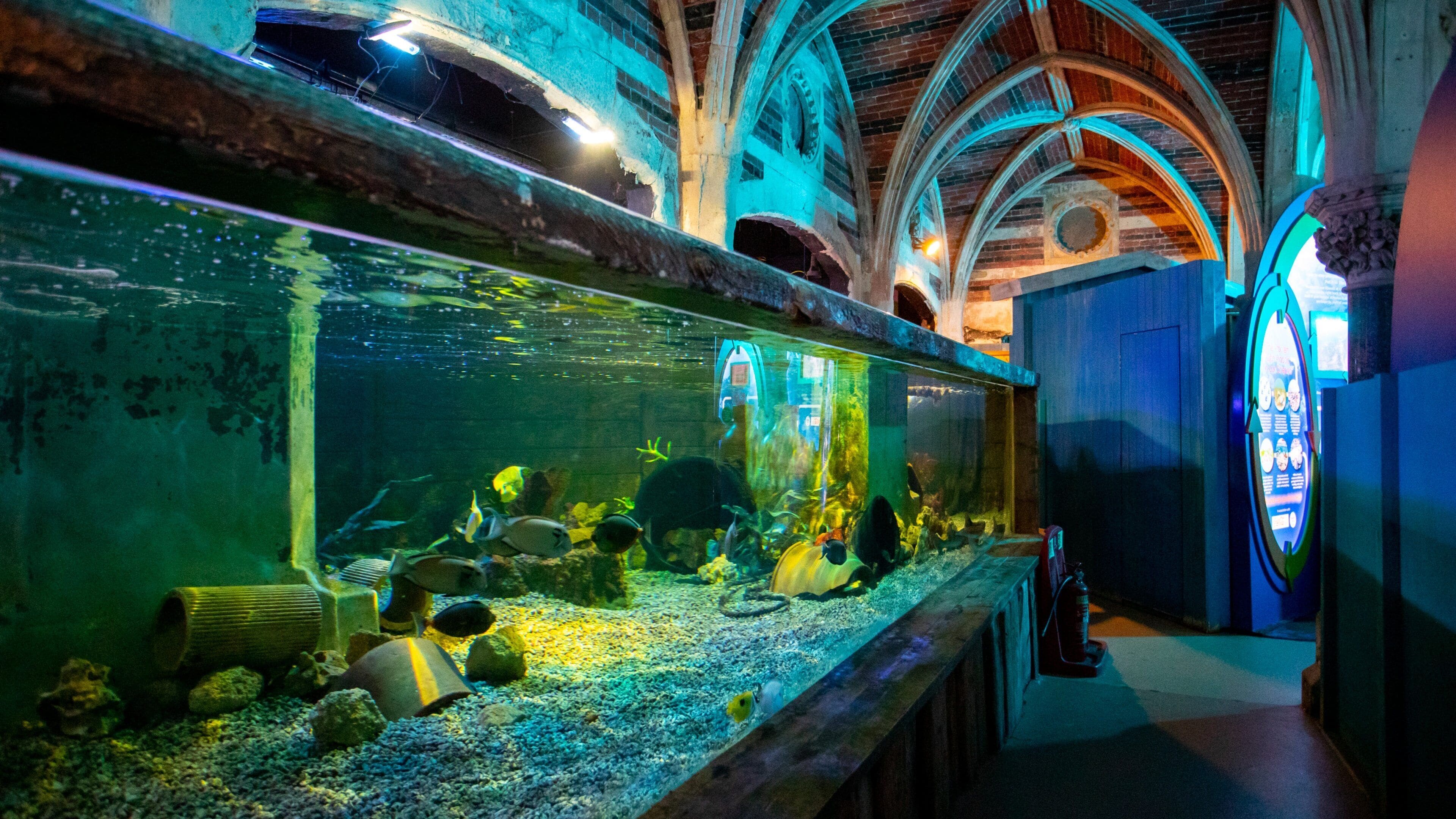 Brighton Sea Life Centre