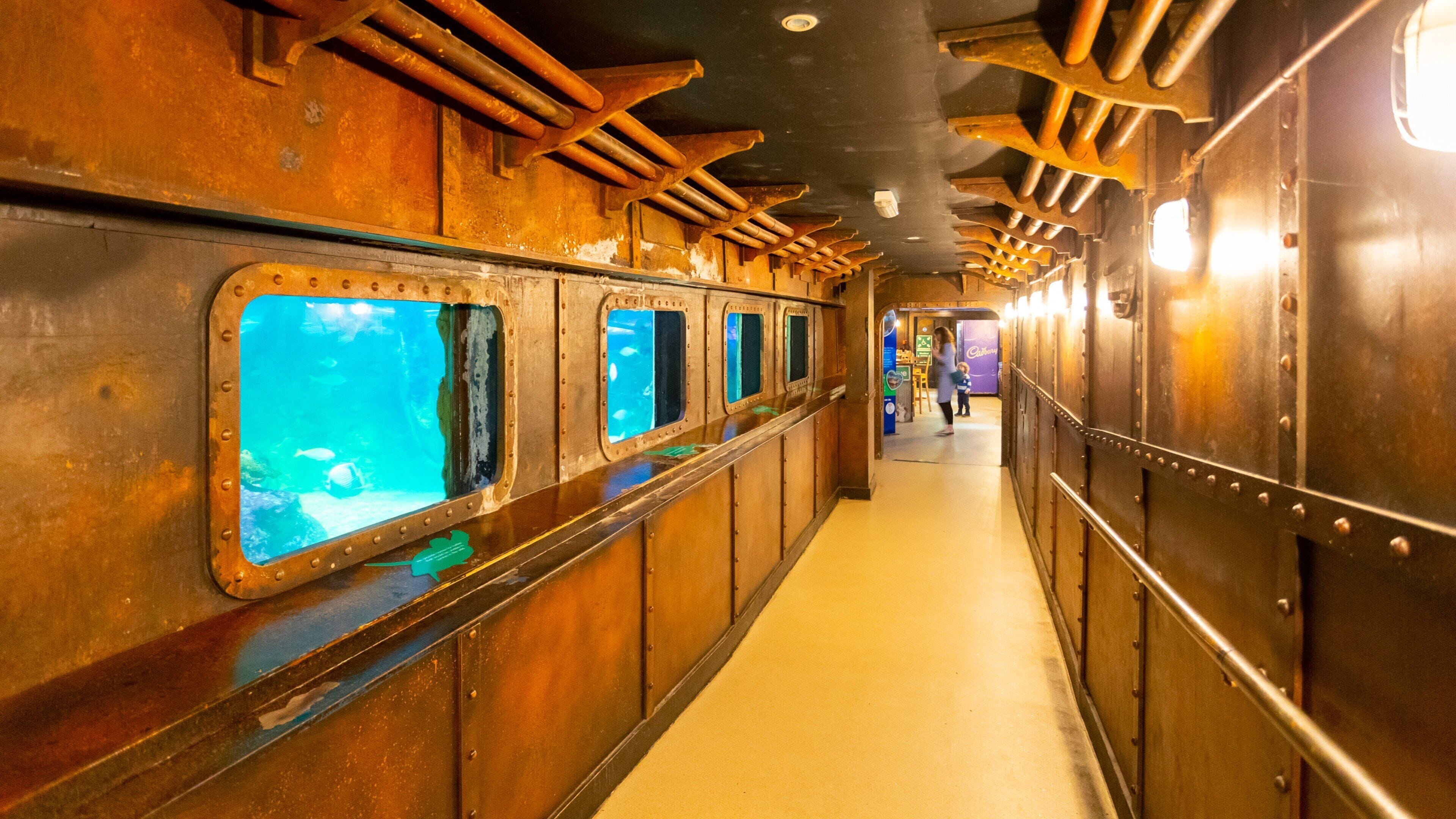 Brighton Sea Life Centre