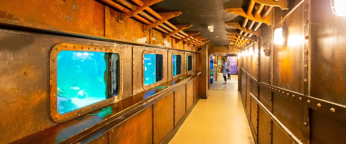 Brighton Sea Life Centre