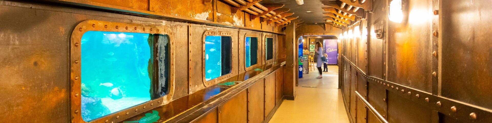 Brighton Sea Life Centre