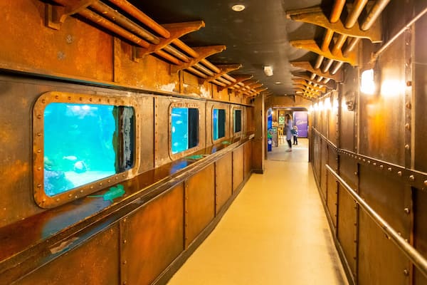 Brighton Sea Life Centre