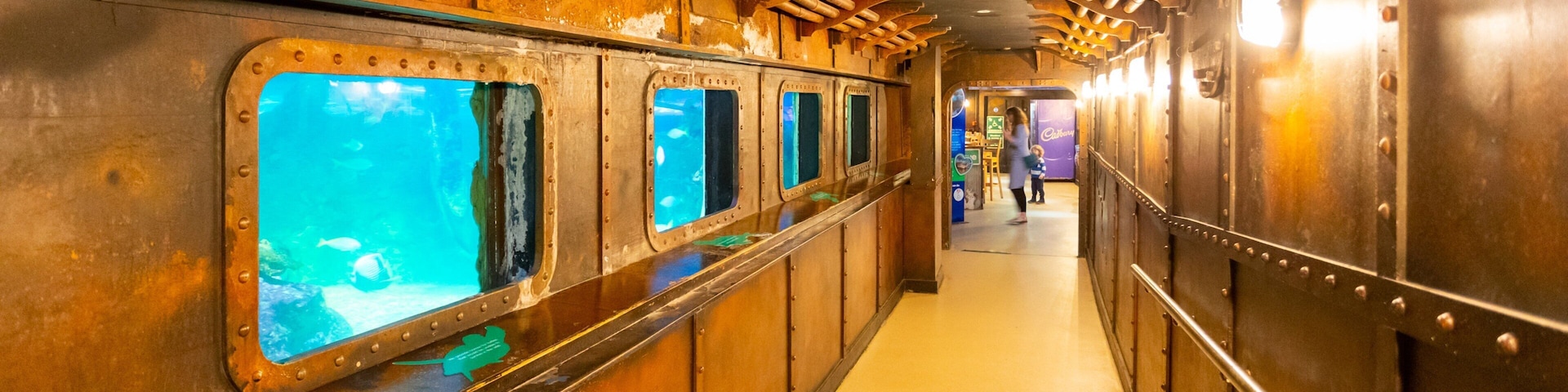 Brighton Sea Life Centre