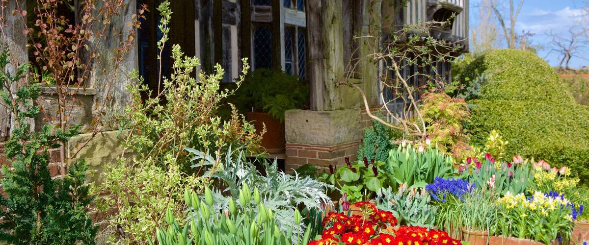 Great Dixter House and Gardens featuring flowers and heritage elements