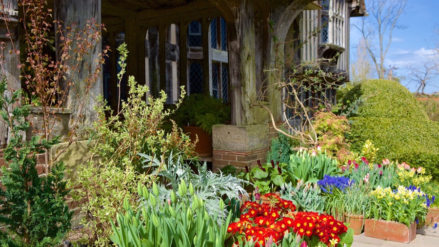 Great Dixter House and Gardens featuring flowers and heritage elements