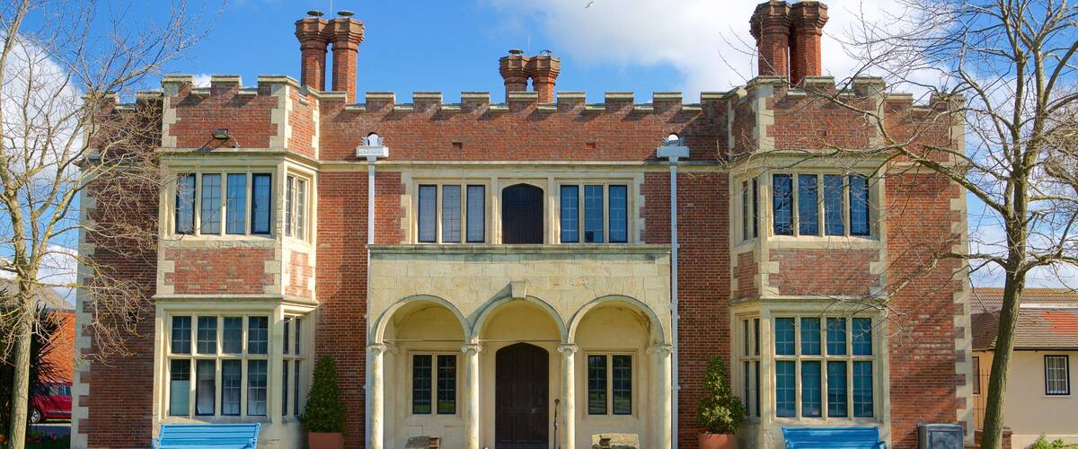 Hastings Museum and Art Gallery which includes heritage elements