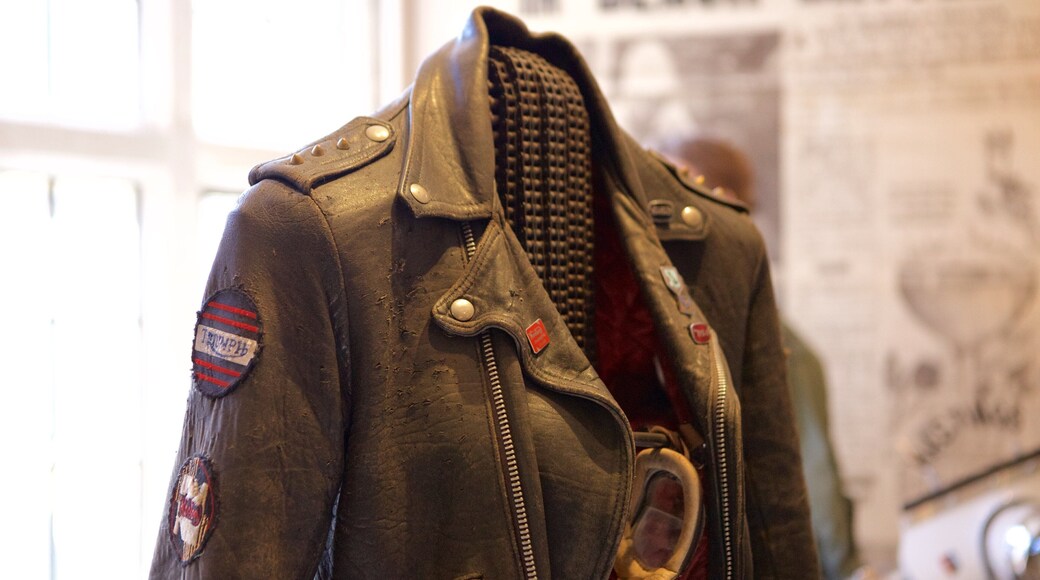 Hastings Museum and Art Gallery