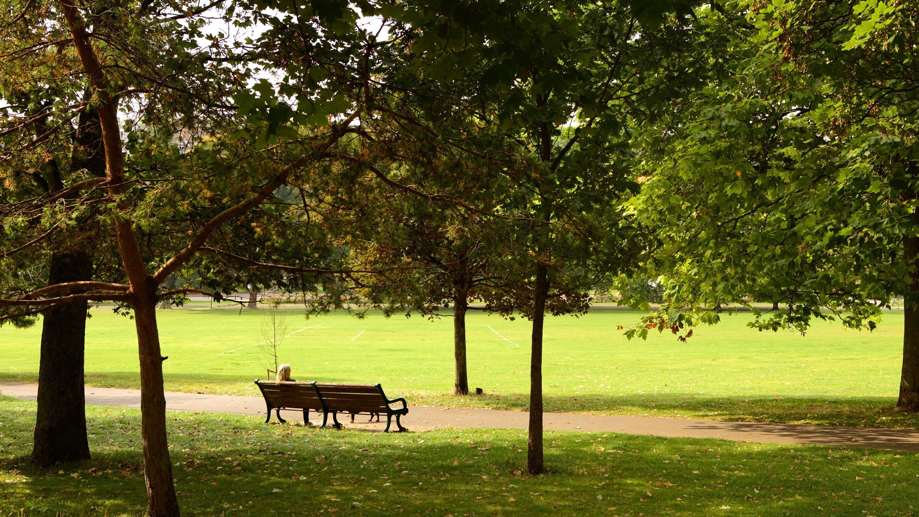 Preston Park showing a garden