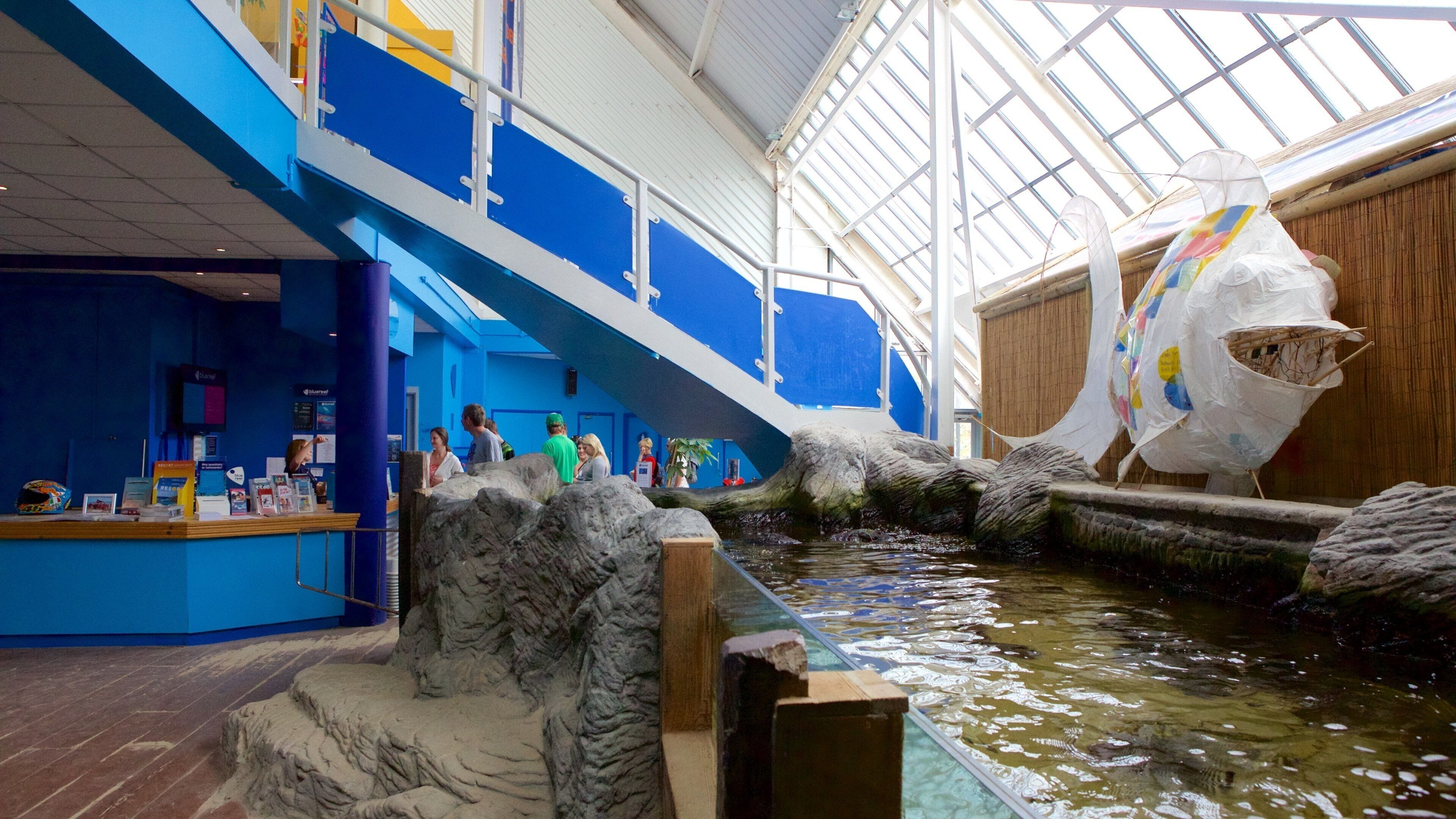 Blue Reef Aquarium showing a pond, marine life and interior views