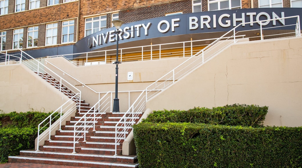 University of Brighton