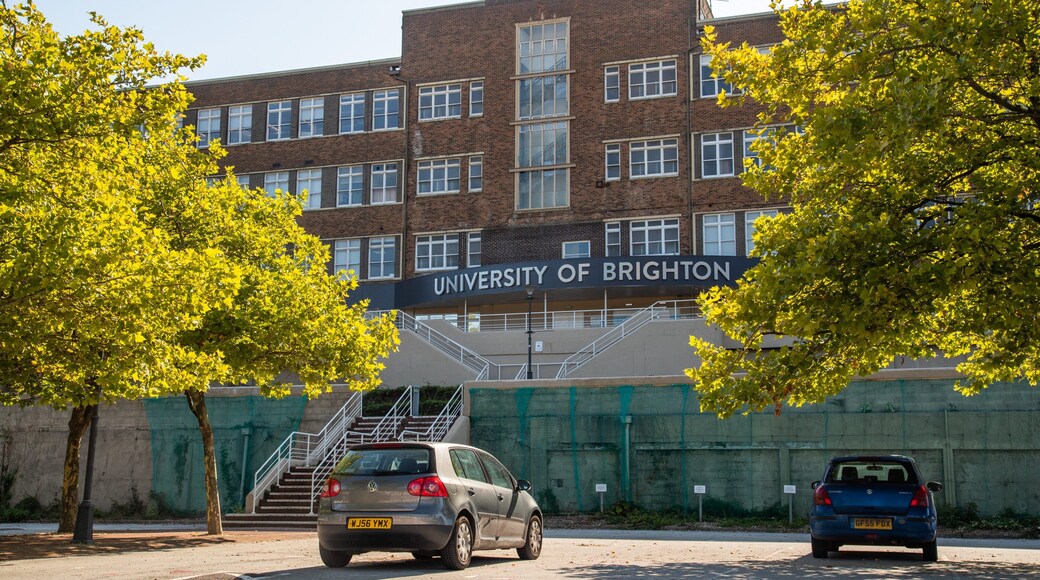 University of Brighton showing signage
